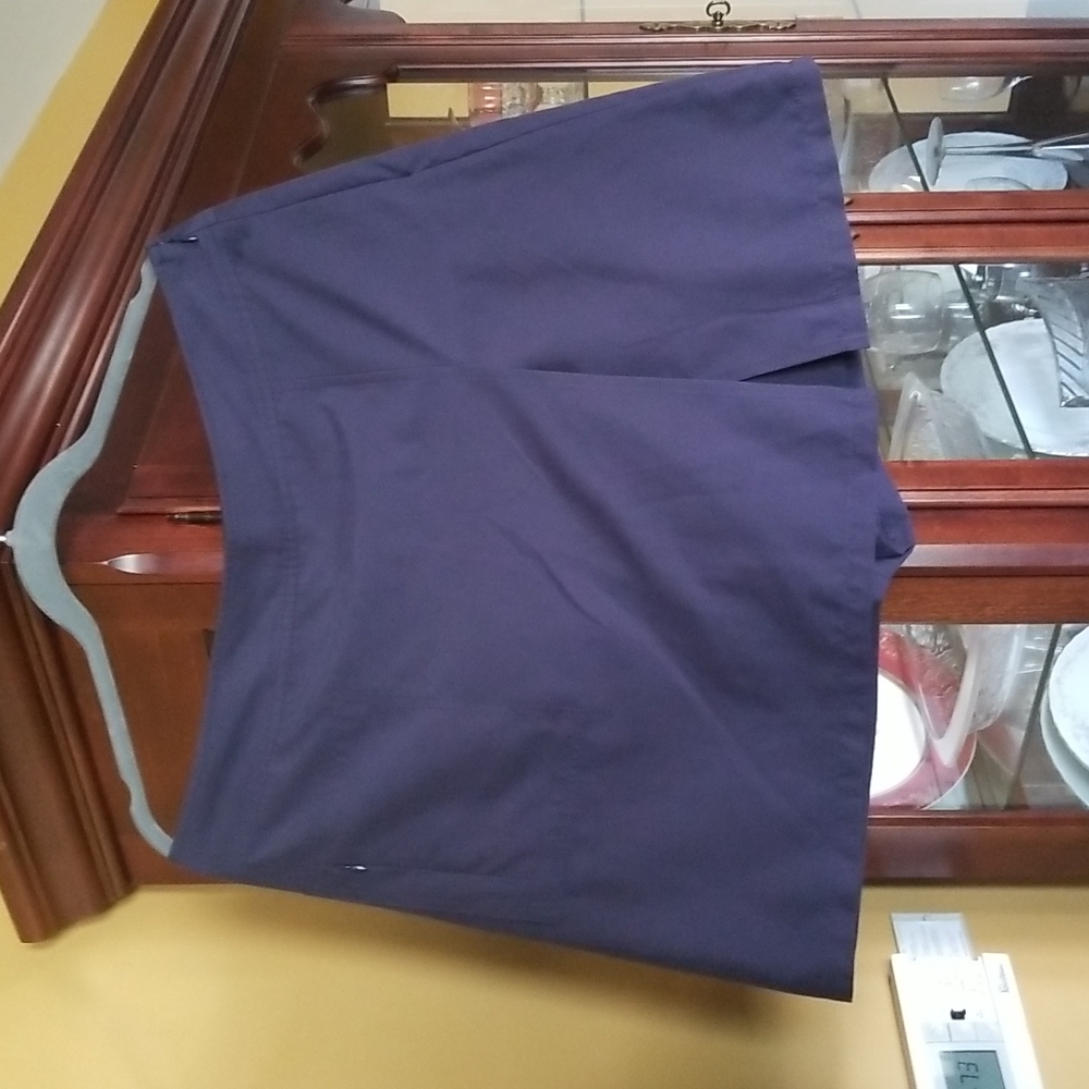 Plus IZOD Skort